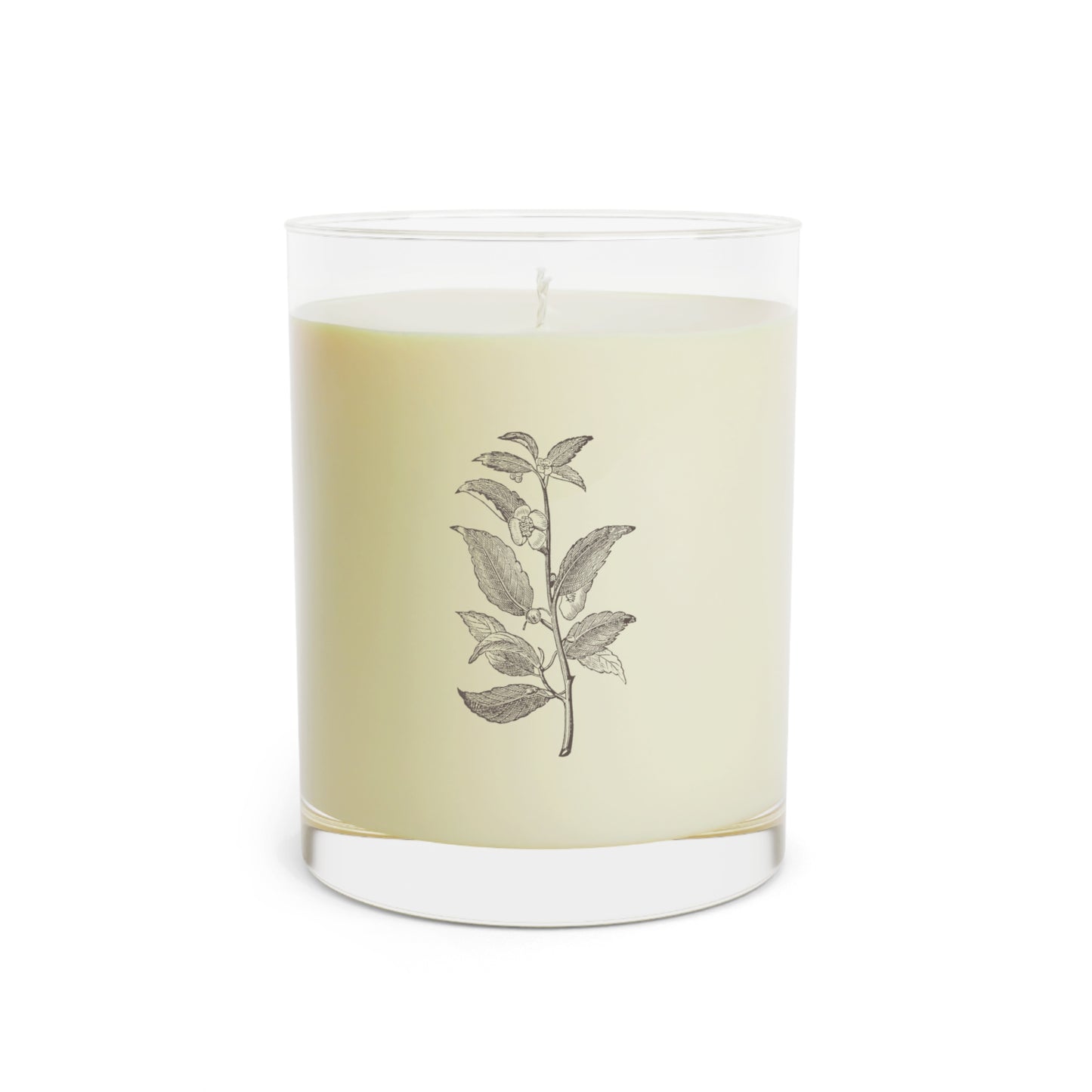 White tea Fig, Mint Lavender Sage, Ocean Mist Scented Candles