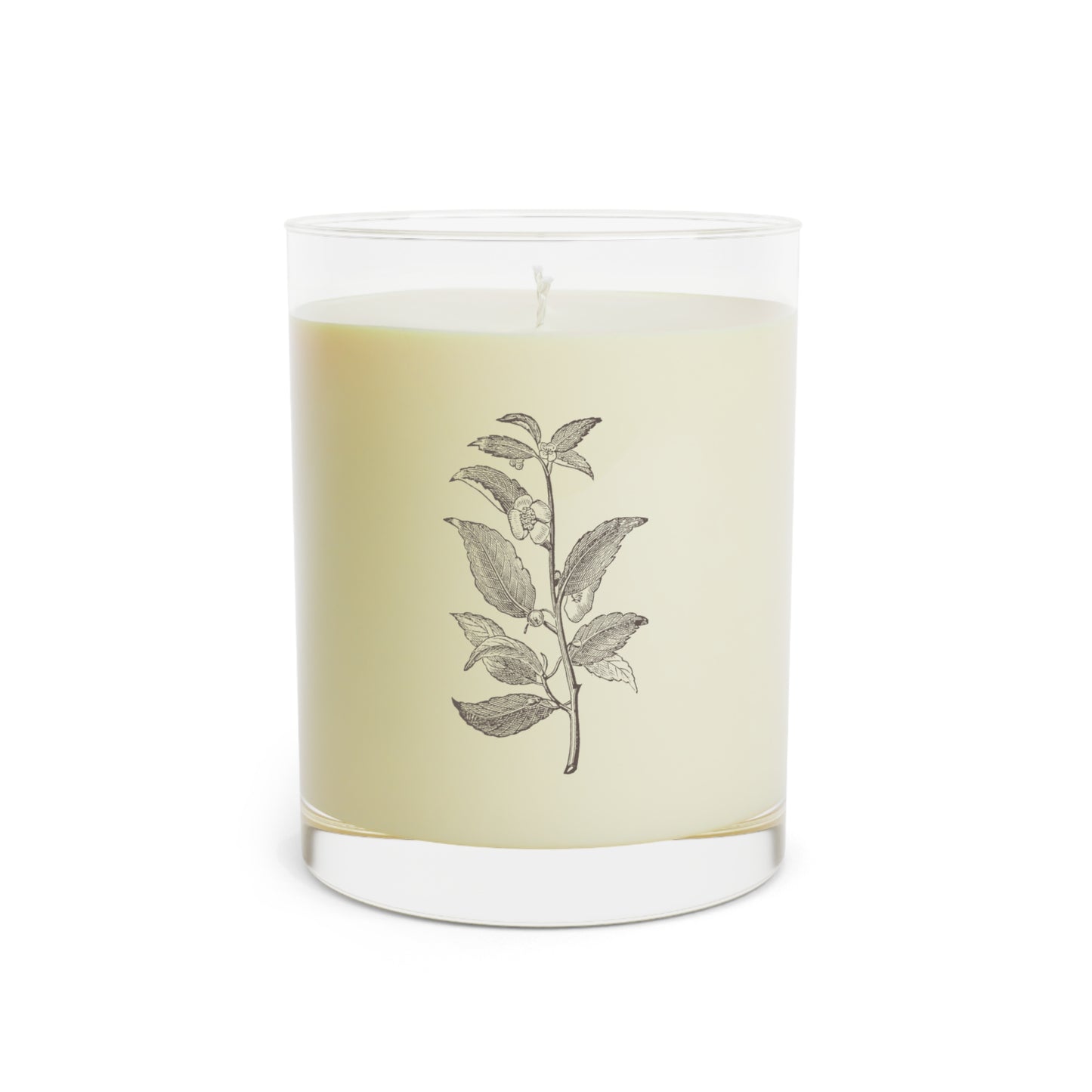 White Tea & Fig Scented Candle - Full Glass, 11oz